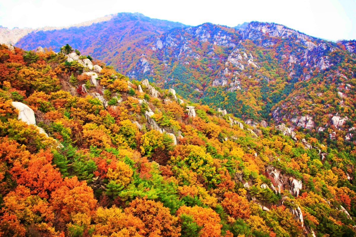 단풍 보러 가기 좋은 가을 산책로 3곳 (가야산, 무등산, 청산도)