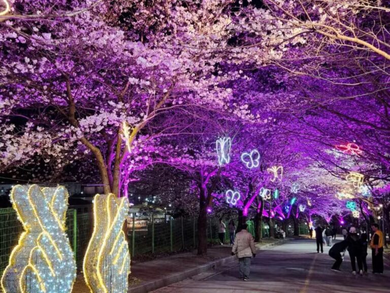 축령산