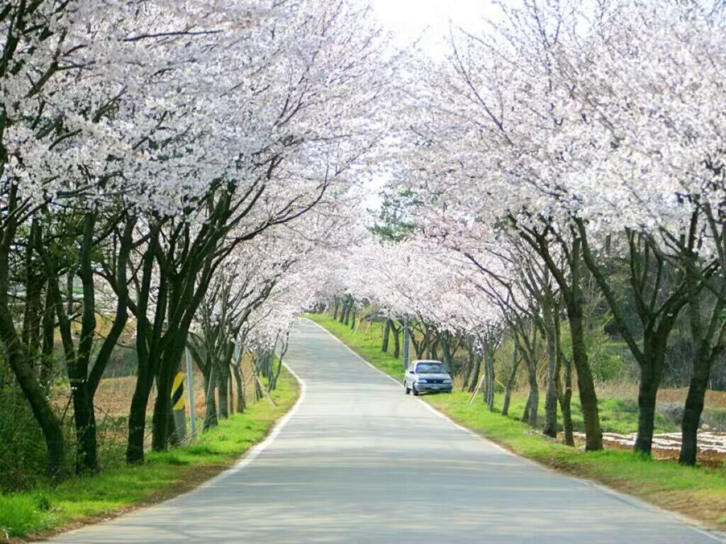 사천시