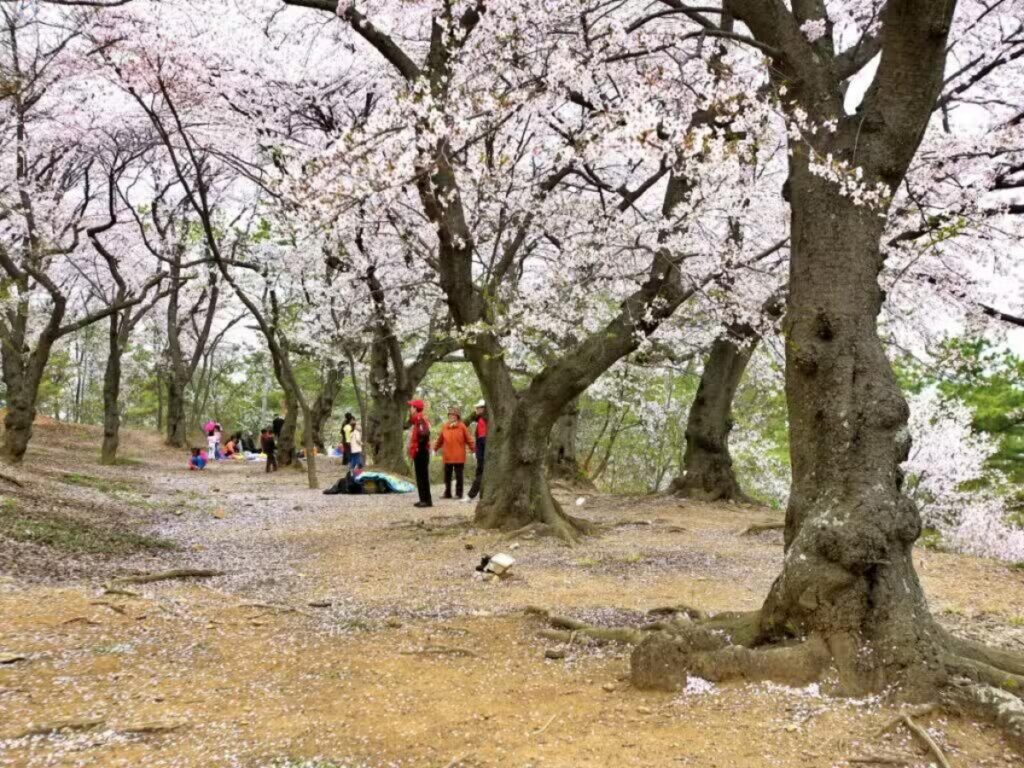 사천시