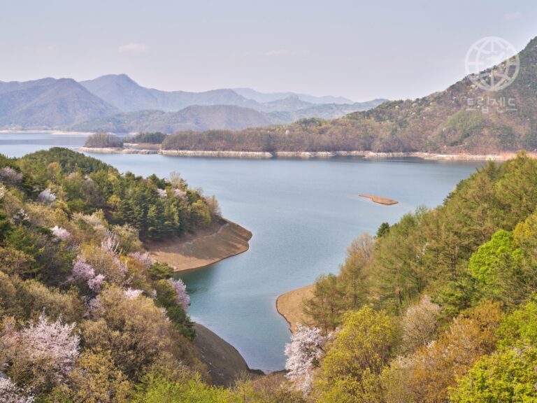 충주