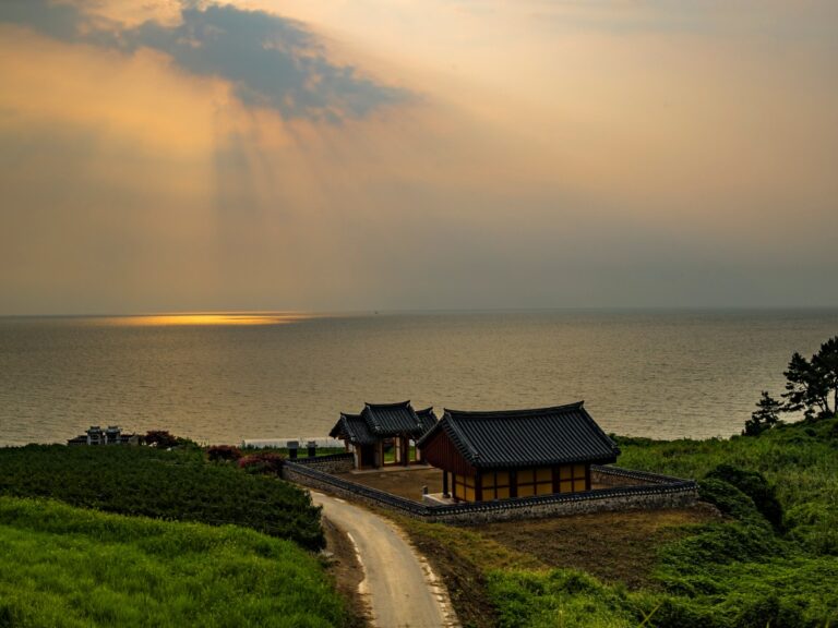 드라이브