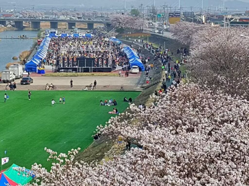 세종시