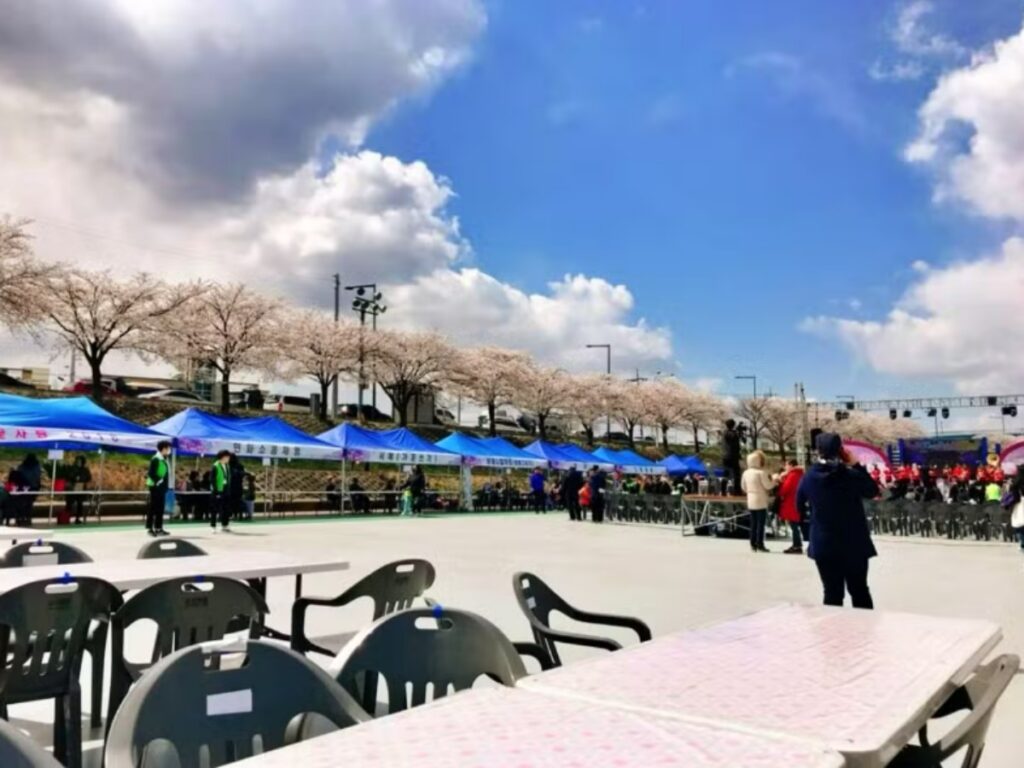 세종시