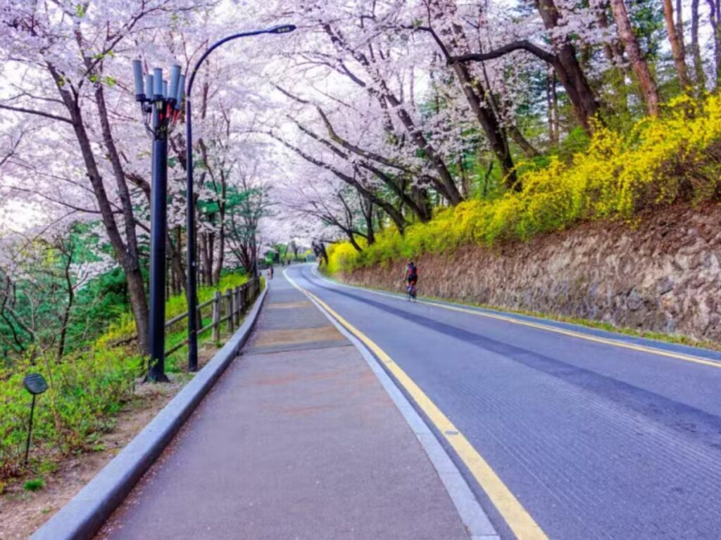 서울