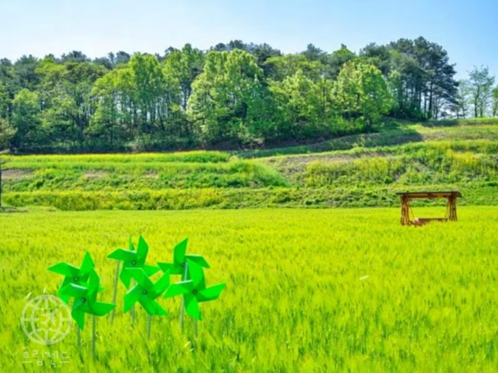 예천
