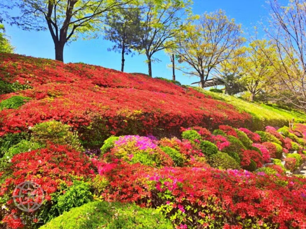 아산시