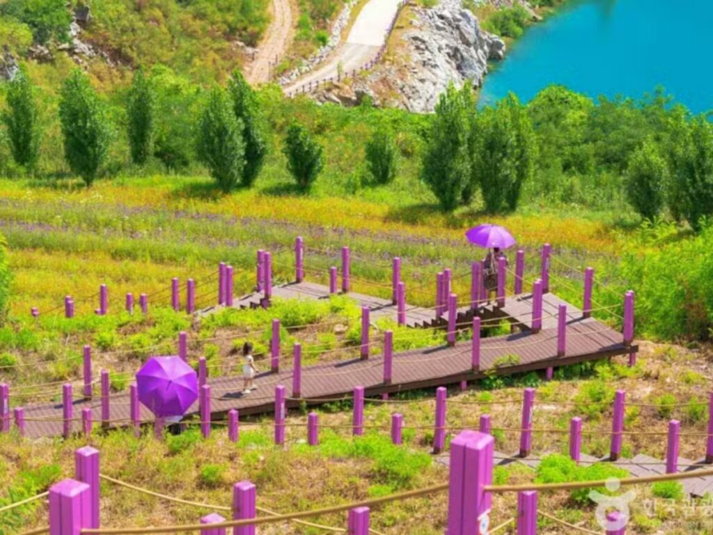 강원도