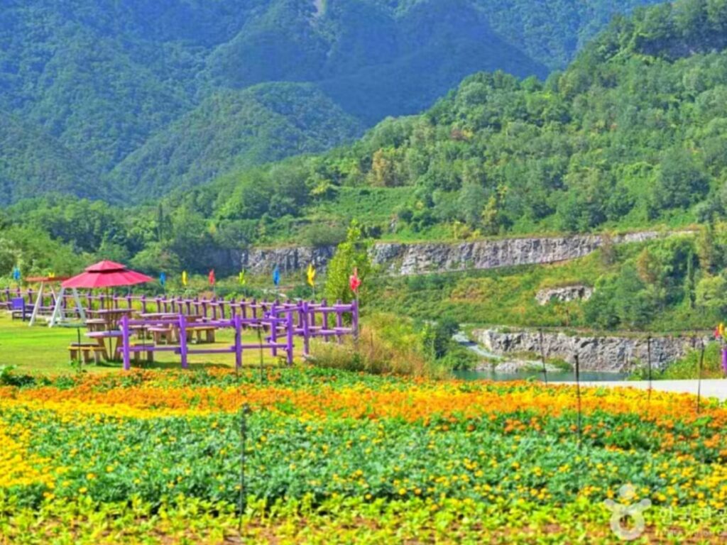 강원도