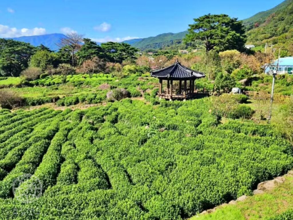 하동군