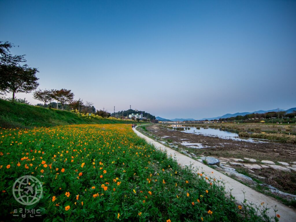 장성군