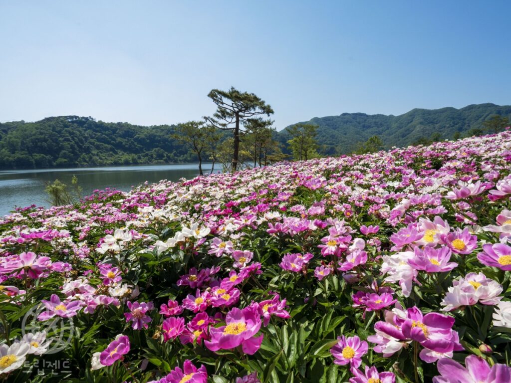 임실군