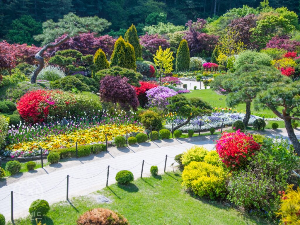 가평 아침고요수목원, 5천 종 식물 봄꽃 명소 (2025 봄꽃 페스타, 가평 여행, 가볼만한 곳) 2 가평