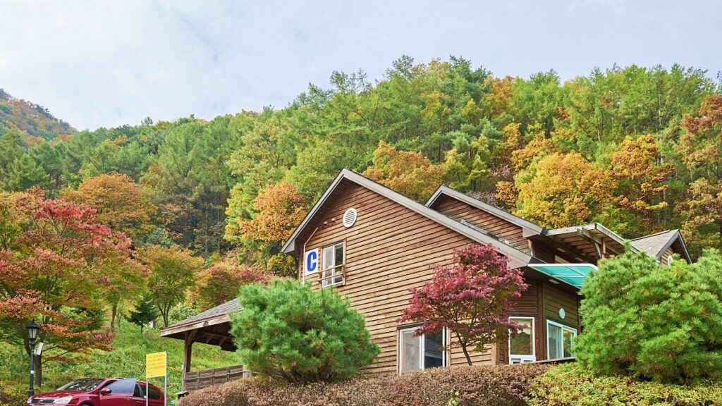 "이번 여름 계곡 휴가 이걸로 해결"… 바가지 요금 없는 숙소 예약 하는 법 4 휴가