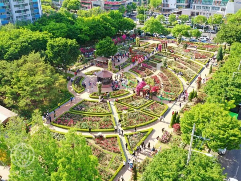 대구
