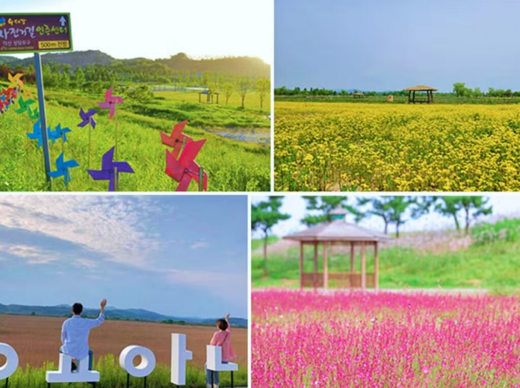 명소
