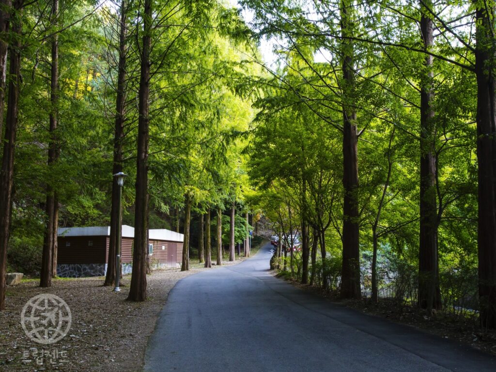 대전 무료 여행지 추천, 장태산자연휴양림·계족산 황톳길 정리 (대전 여행, 가볼만한 곳) 1 대전