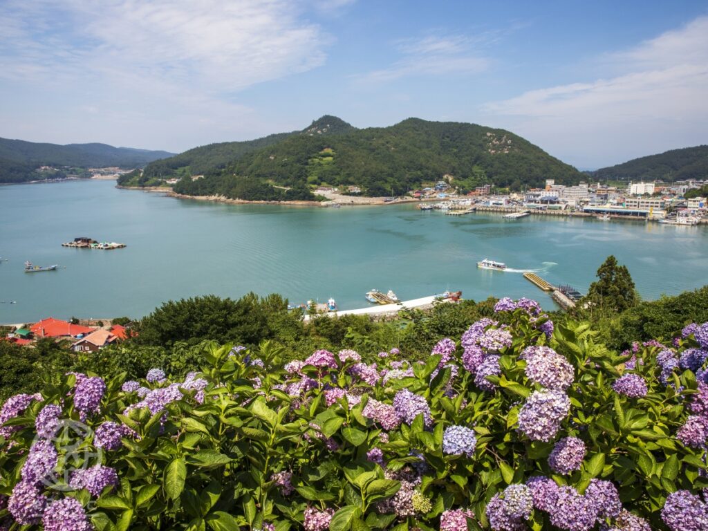 고흥