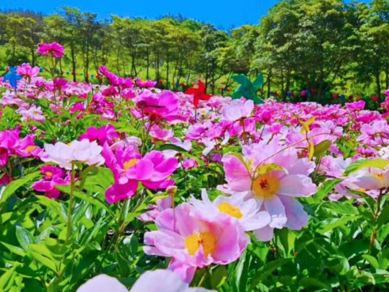 윤제림