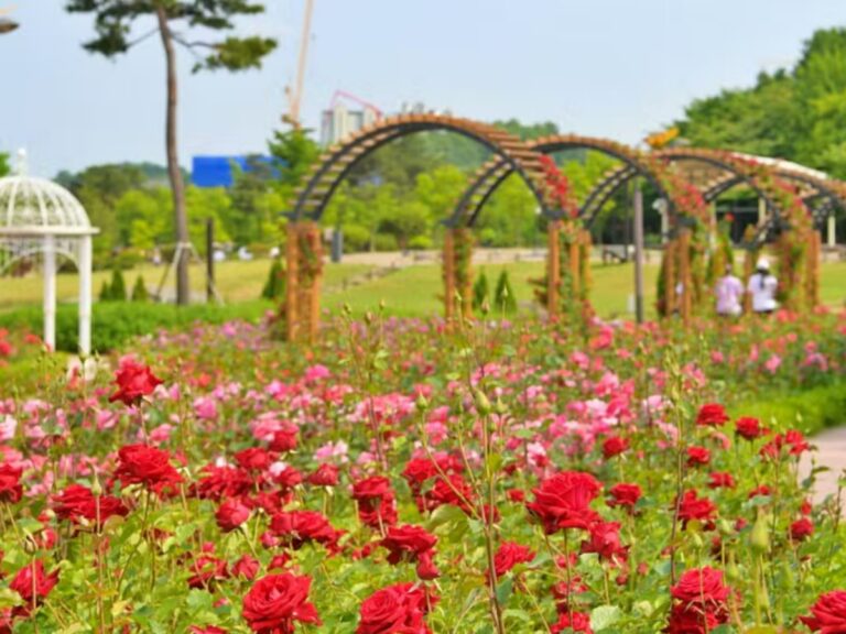연천