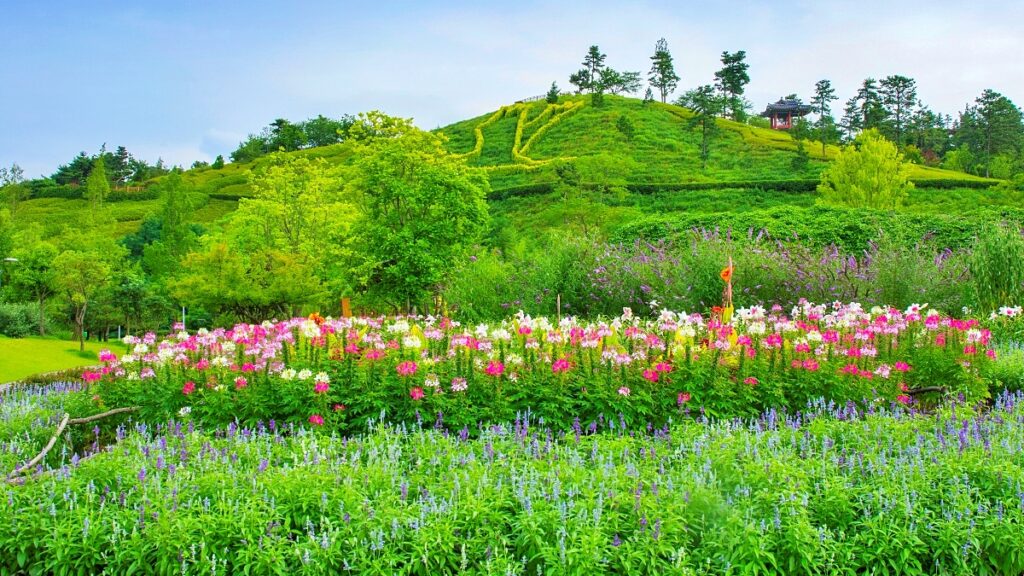 "벌써 올해 200만 돌파"… 이제는 국민의 정원이 된 대표 국내 여행지 4 정원