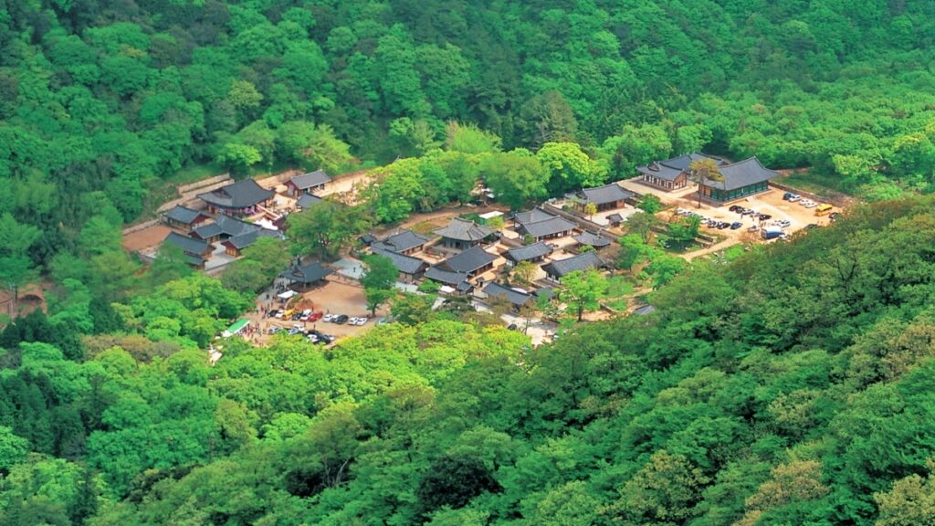 "개장 딱 하루만 전 시설 '무료' 체험 기회"… 7월 1일부터 개장하는 생태힐링파크 4 생태힐링파크