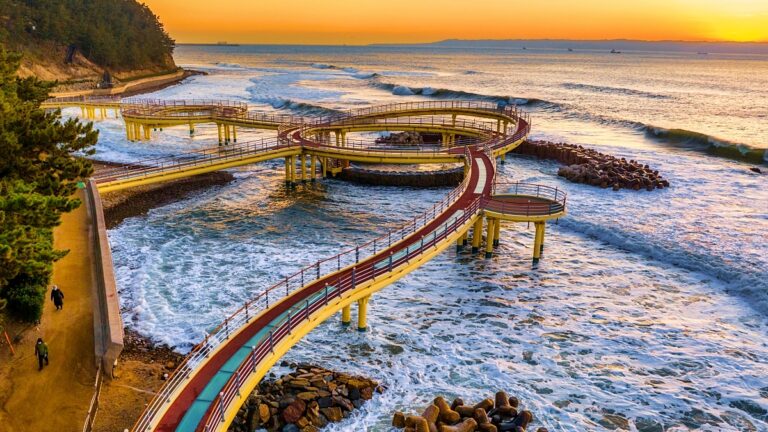 축제