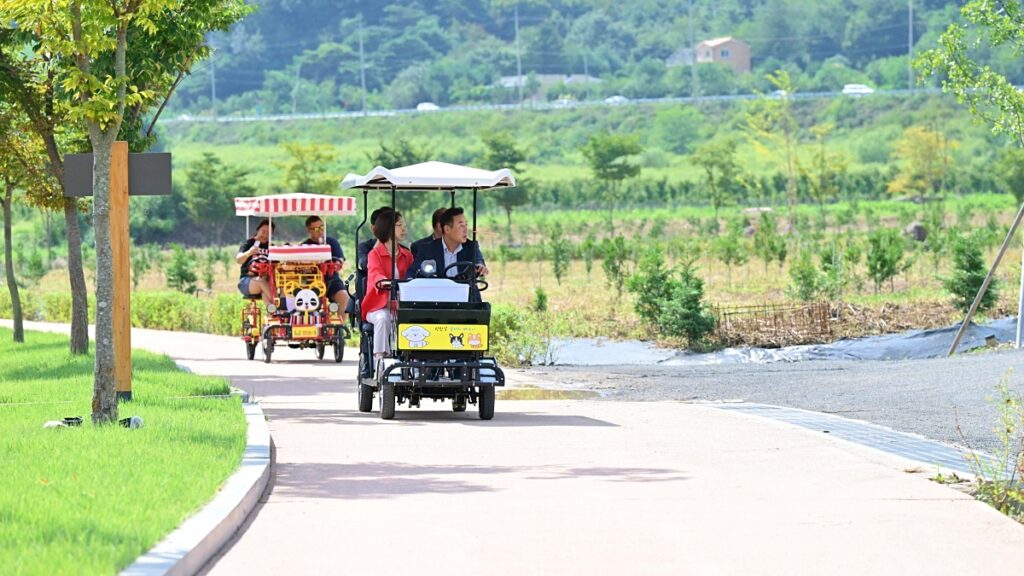 "이제 곧 끝나요"… Y형 출렁다리와 꽃이 만발한 수도권 축제 4 출렁다리