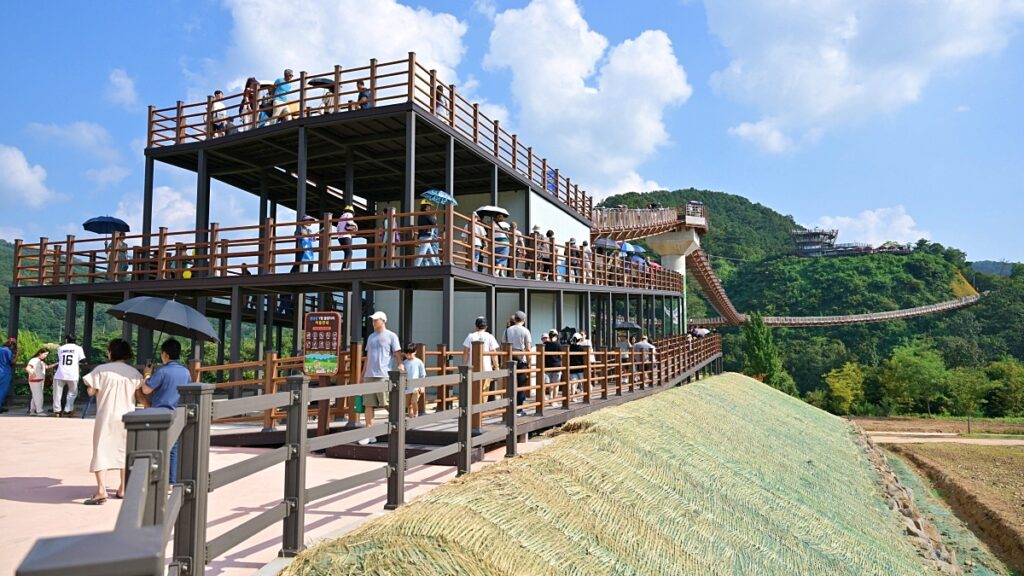 "이제 곧 끝나요"… Y형 출렁다리와 꽃이 만발한 수도권 축제 5 출렁다리