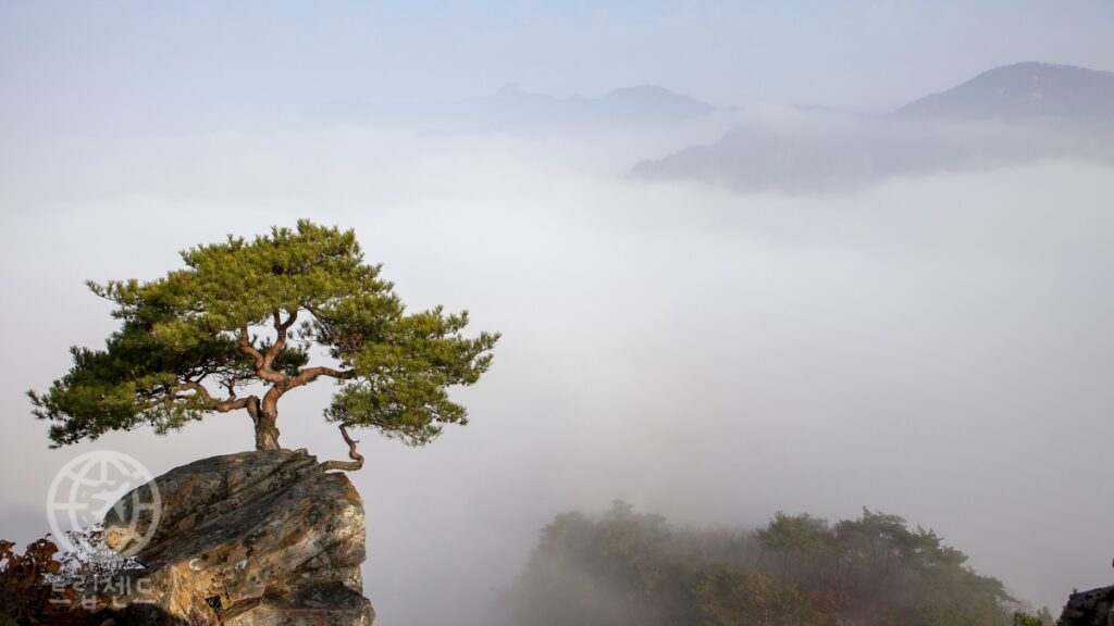 여행