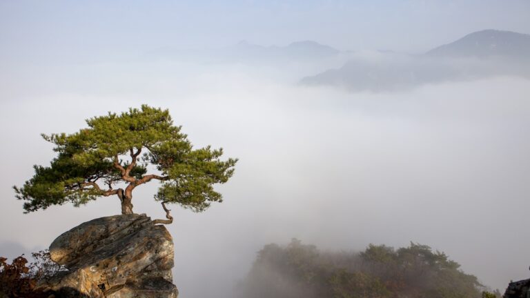 여행