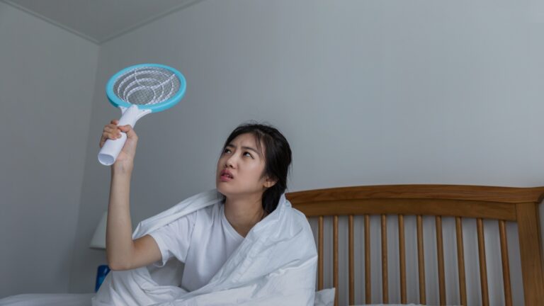 모기