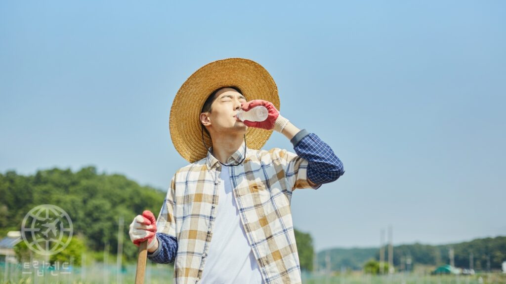 여름