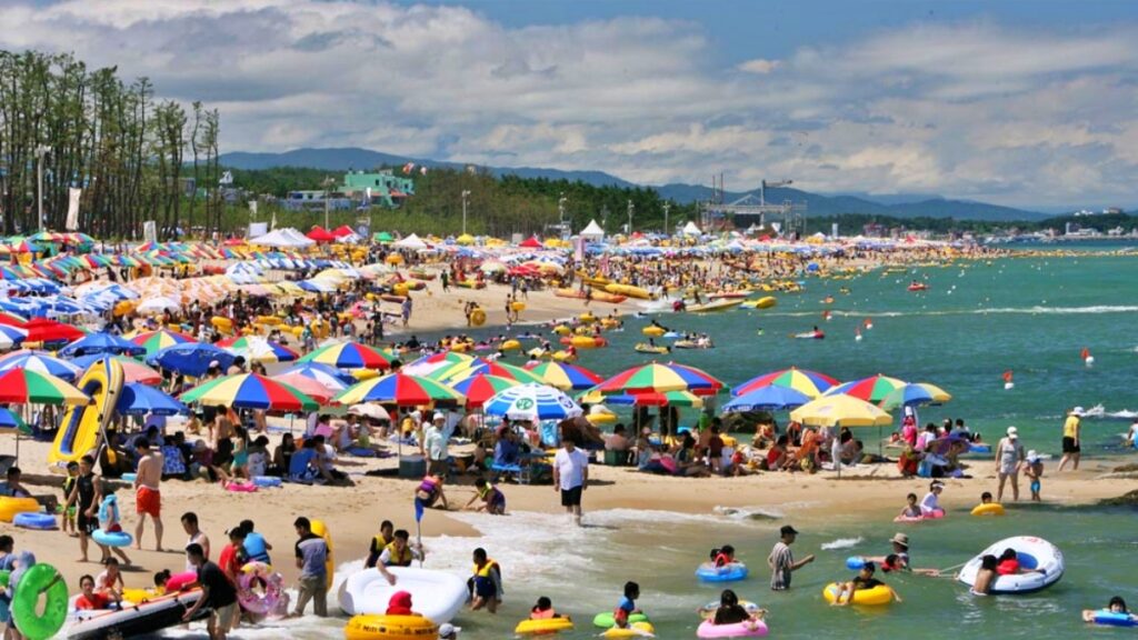 "방문객 27% 늘어난 비결은?"... 8월 17일까지 무료로 해수풀장 운영하는 해수욕장 1 해수욕장