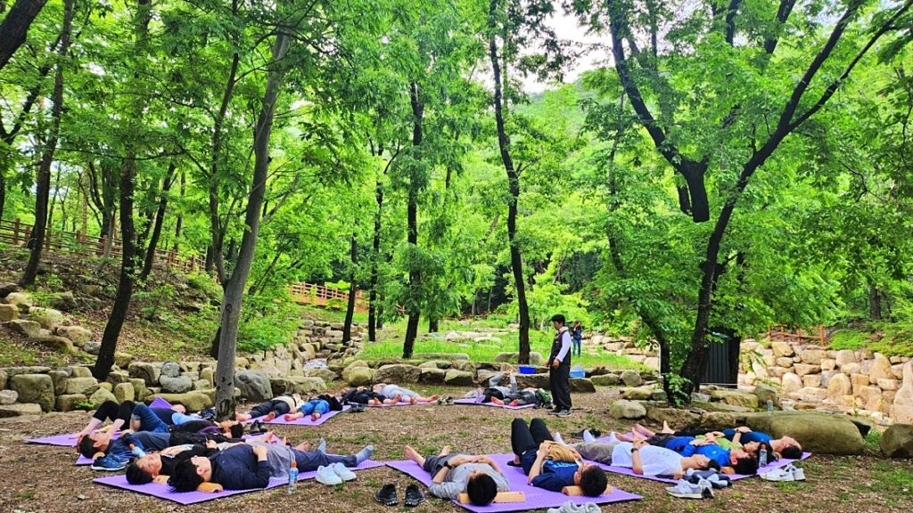 "비가 내려도 좋아요"… 힐링 산책하기에 좋다는 치유의 숲 2 치유