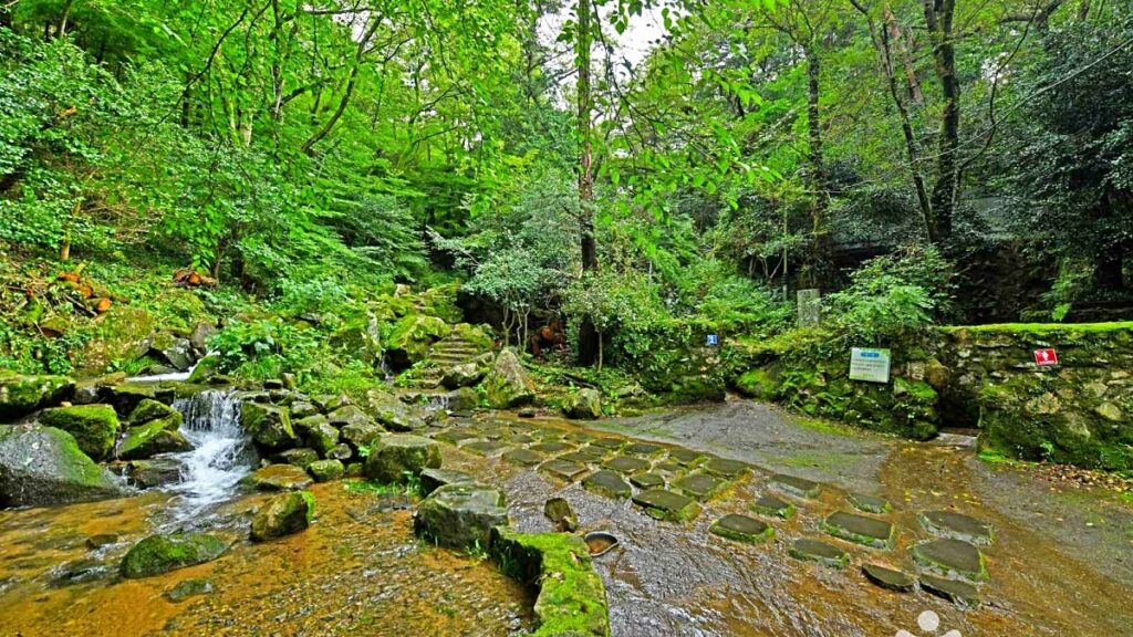 "통증도 고친다는 신비한 폭포"… 힐링 여행지로 좋다는 여름 산책 코스 2 폭포