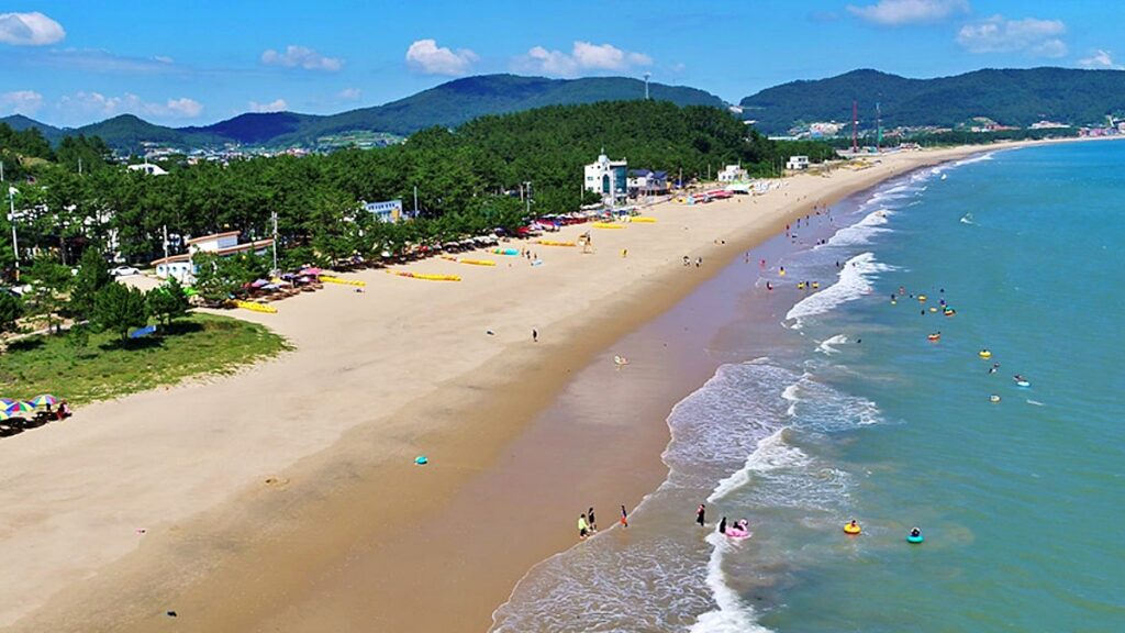 "신경통과 관절염에 특히 좋아요"… 7월 가야 하는 치유 걷기 축제 2 치유