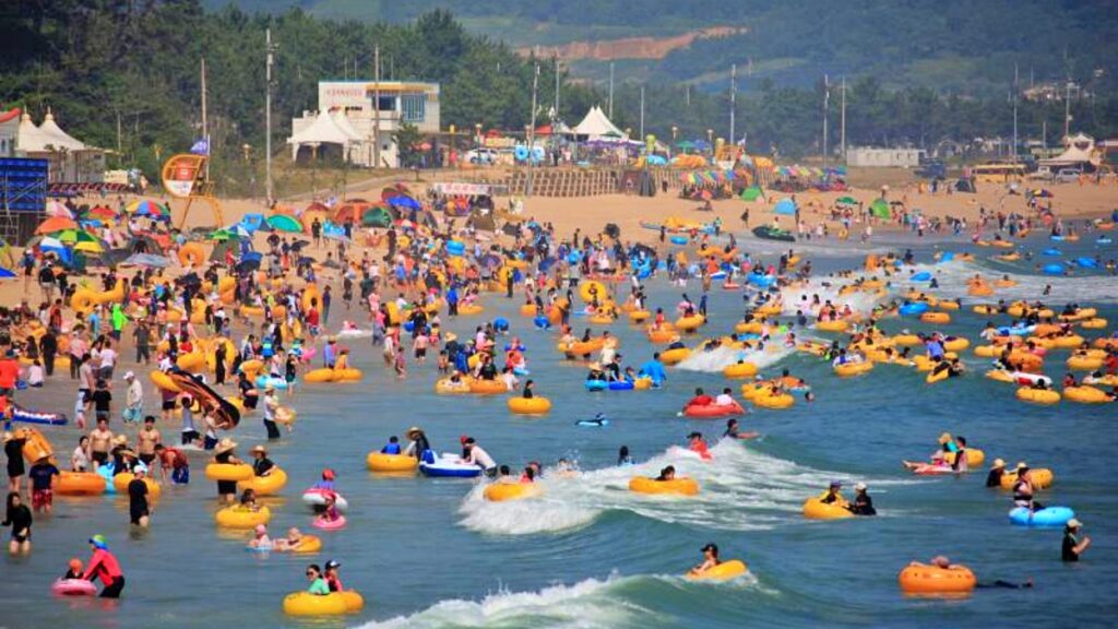 "신경통과 관절염에 특히 좋아요"… 7월 가야 하는 치유 걷기 축제 4 치유