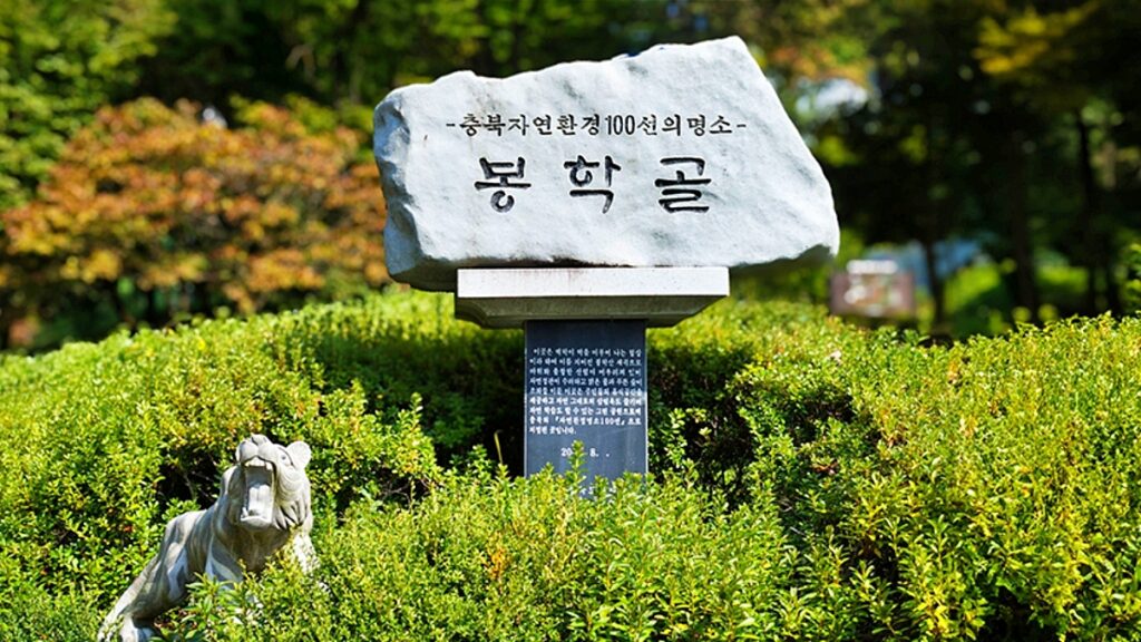 "그늘 아래서 걷기 좋아요"… 가족들과 여름 휴가 보내기 좋은 산림욕장 3 산림욕장