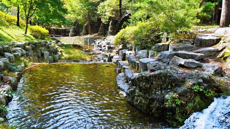 산림욕장