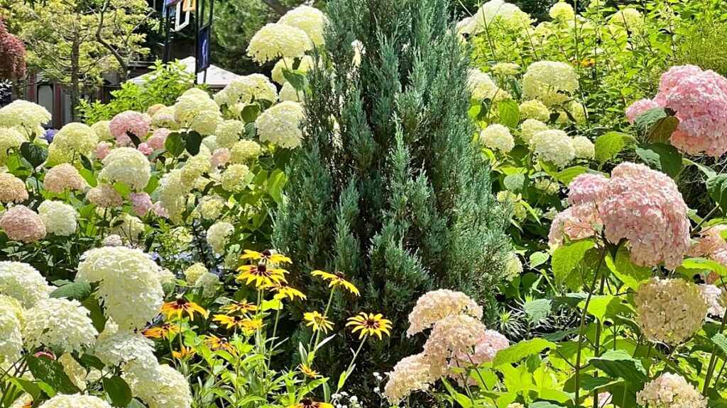 "3만 5천원 당일치기 패키지"… 식사와 체험까지 포함된 수도권 여행 2 수도권