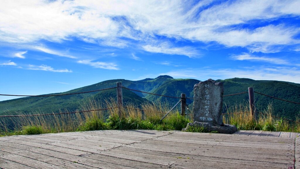 "가장 특별한 여름 밤 풍경 본다"… 흔하지 않은 야간 트레킹 체험 4 여름