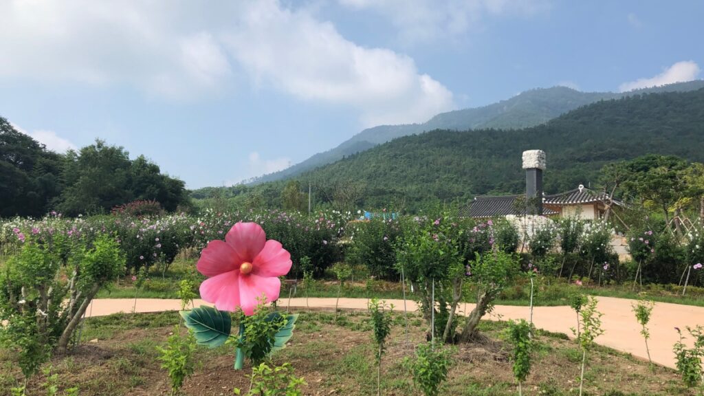 "한국인이라면 한번쯤 가봐야죠"… 7월부터 시작하는 무궁화 축제 3 무궁화