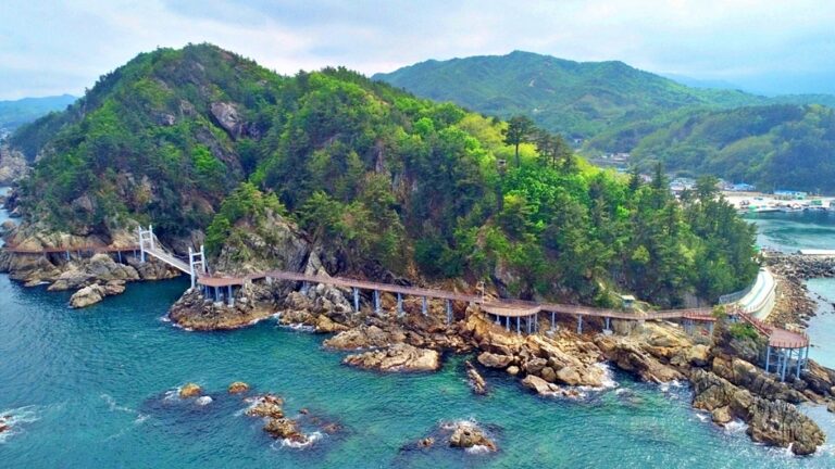 출렁다리