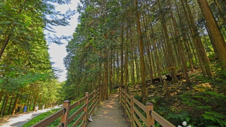 산책