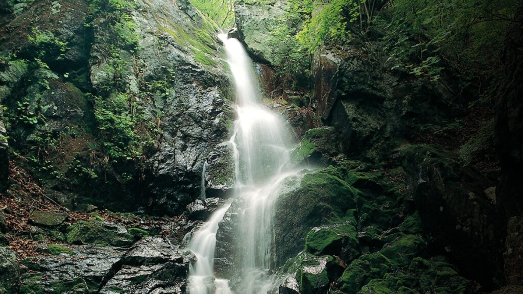 "시끄러운 피서지 말고, 이런 폭포 어때요?"... 대나무 고개 아래 숨겨진 죽령폭포 1 폭포