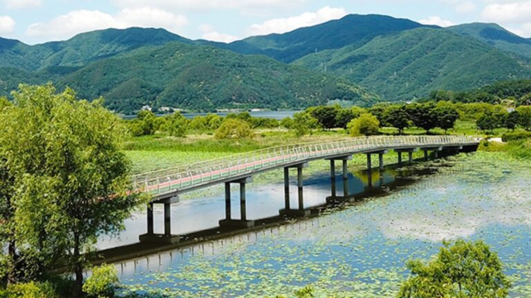 산책길