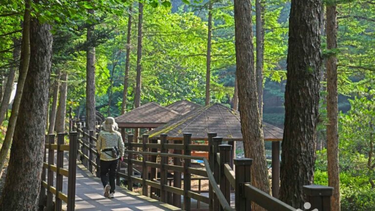 산림욕장
