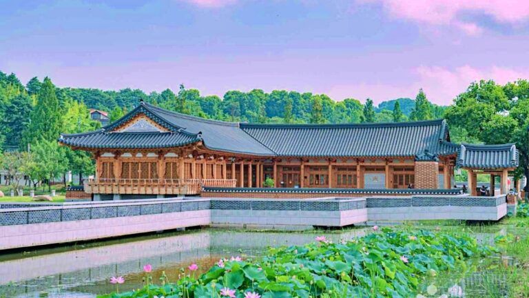 연꽃