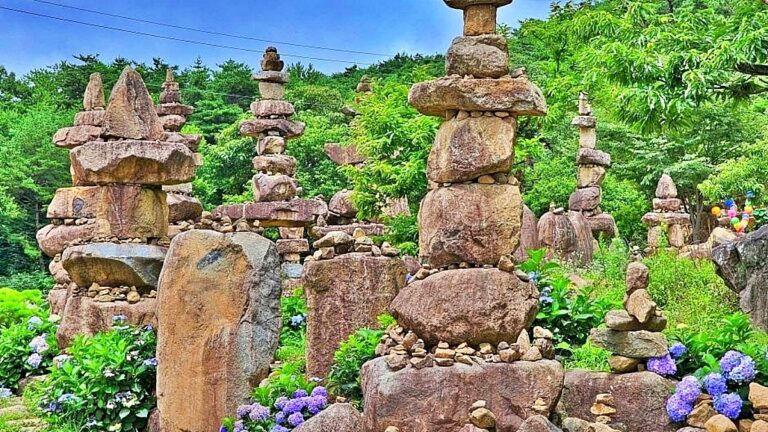 수국